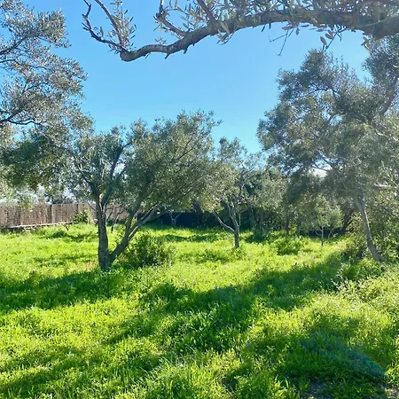 בית נופש Maison De Pecheur Superbe Vue Mer, Grand Jardin *